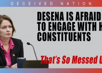 DeSena Deceived Her Constituents About Her Intention to Connect With Them